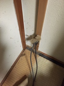 埃の溜まった電源コード