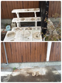 老人ホームに入居のための不用品