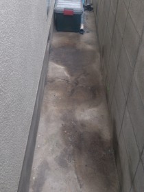 家の周りの片付け後