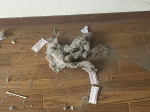 清掃中にできた埃